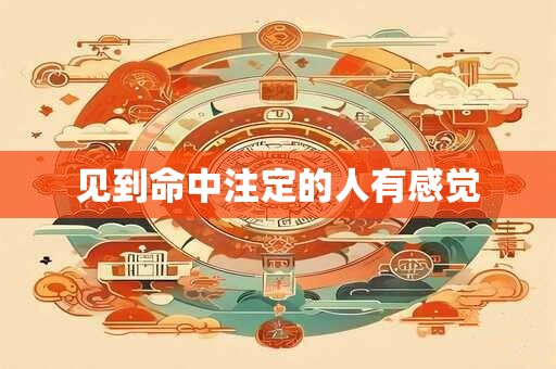 见到命中注定的人有感觉