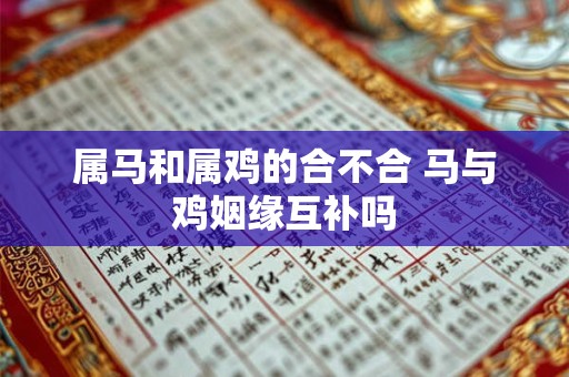 属马和属鸡的合不合 马与鸡姻缘互补吗