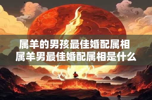 属羊的男孩最佳婚配属相 属羊男最佳婚配属相是什么