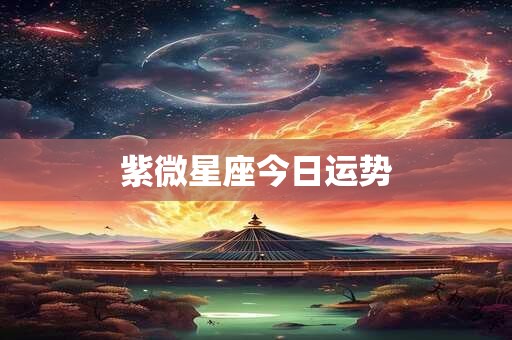 紫微星座今日运势