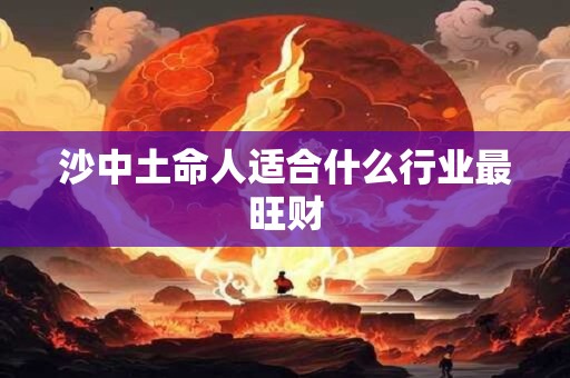 沙中土命人适合什么行业最旺财