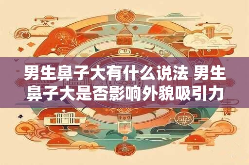 男生鼻子大有什么说法 男生鼻子大是否影响外貌吸引力