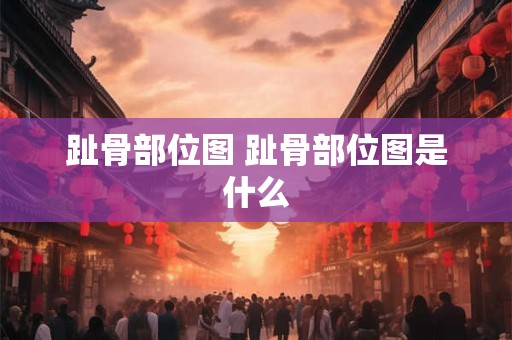 趾骨部位图 趾骨部位图是什么