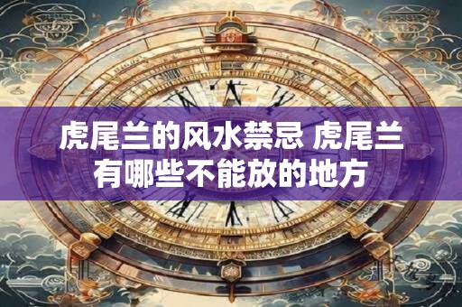 虎尾兰的风水禁忌 虎尾兰有哪些不能放的地方