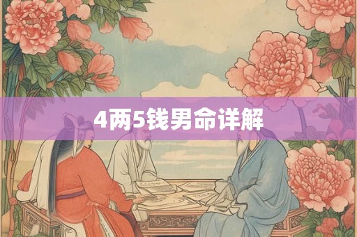4两5钱男命详解