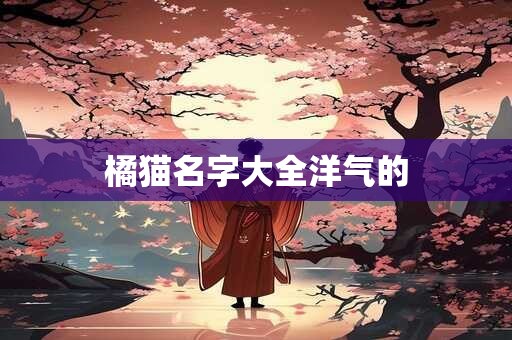 橘猫名字大全洋气的