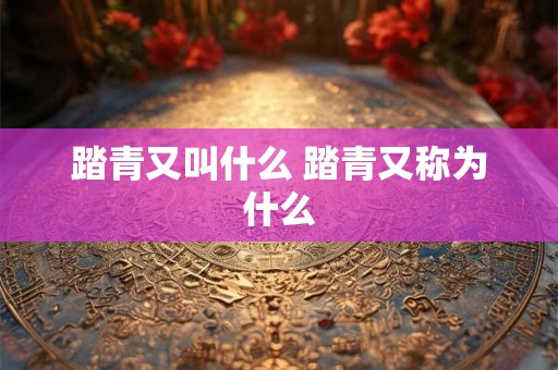 踏青又叫什么 踏青又称为什么