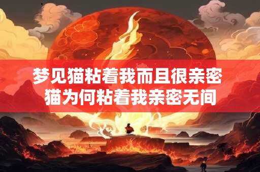 梦见猫粘着我而且很亲密 猫为何粘着我亲密无间