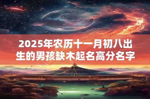 2025年农历十一月初八出生的男孩缺木起名高分名字大全