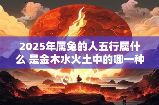 2025年属兔的人五行属什么 是金木水火土中的哪一种