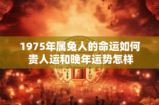 1975年属兔人的命运如何 贵人运和晚年运势怎样