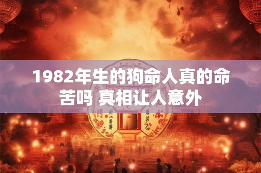 1982年生的狗命人真的命苦吗 真相让人意外