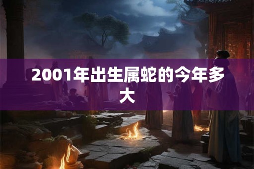 2001年出生属蛇的今年多大
