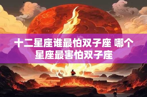 十二星座谁最怕双子座 哪个星座最害怕双子座