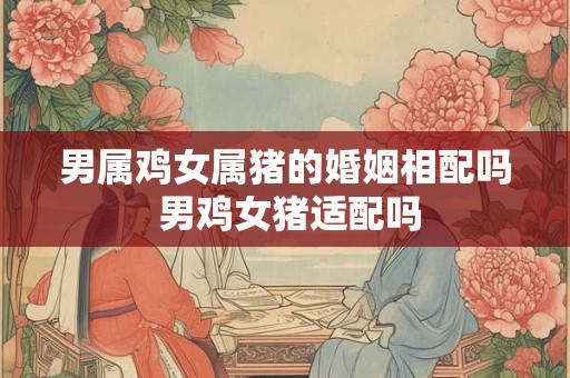 男属鸡女属猪的婚姻相配吗 男鸡女猪适配吗