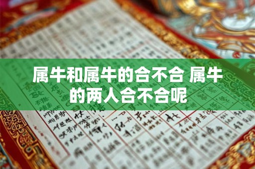 属牛和属牛的合不合 属牛的两人合不合呢