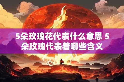 5朵玫瑰花代表什么意思 5朵玫瑰代表着哪些含义