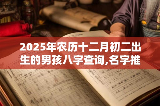 2025年农历十二月初二出生的男孩八字查询,名字推荐
