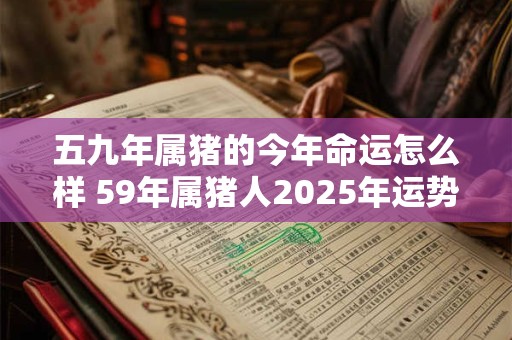 五九年属猪的今年命运怎么样 59年属猪人2026年运势如何