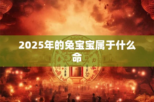 2025年的兔宝宝属于什么命 2025年的兔宝宝属于什么命