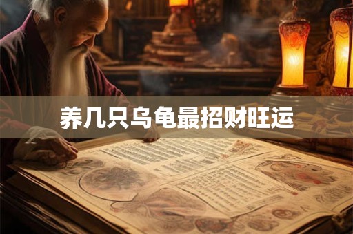 养几只乌龟最招财旺运