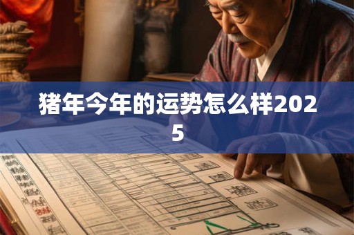 猪年今年的运势怎么样2025