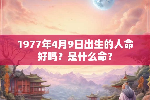 1977年4月9日出生的人命好吗？是什么命？