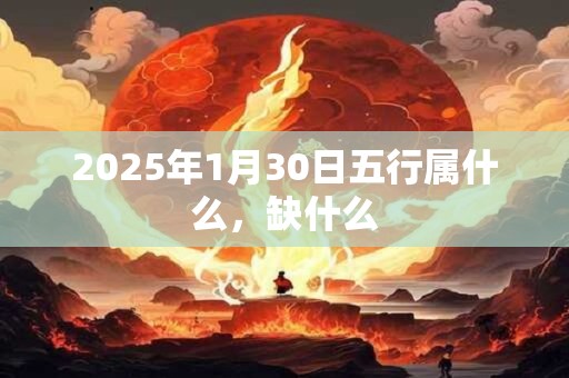2025年1月30日五行属什么，缺什么
