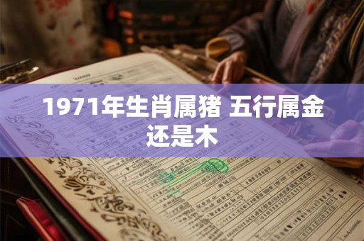 1971年生肖属猪 五行属金还是木 1971年生肖属猪 五行属金还是木