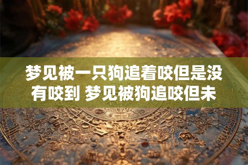 梦见被一只狗追着咬但是没有咬到 梦见被狗追咬但未被咬到是什么预兆