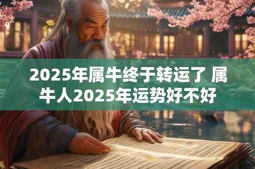 2025年属牛终于转运了 属牛人2025年运势好不好