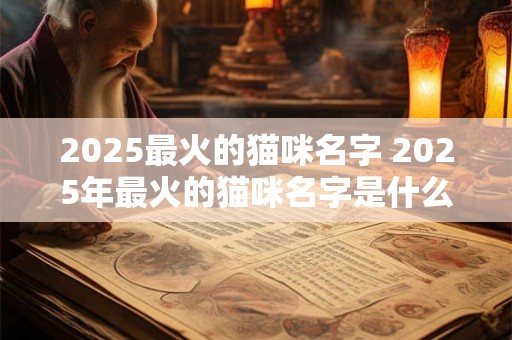 2025最火的猫咪名字 2025年最火的猫咪名字是什么