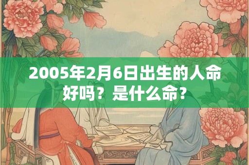 2005年2月6日出生的人命好吗？是什么命？