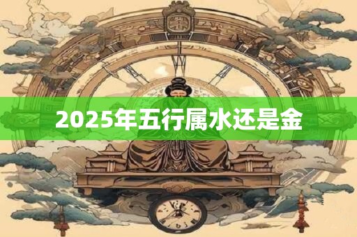 2025年五行属水还是金