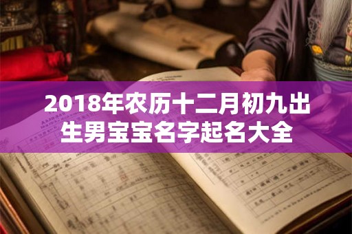 2018年农历十二月初九出生男宝宝名字起名大全