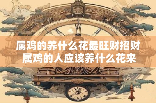 属鸡的养什么花最旺财招财 属鸡的人应该养什么花来招财呢