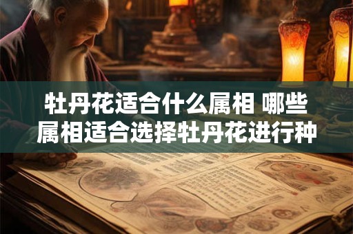 牡丹花适合什么属相 哪些属相适合选择牡丹花进行种植或摆放