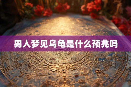 男人梦见乌龟是什么预兆吗