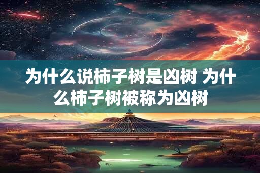 为什么说柿子树是凶树 为什么柿子树被称为凶树