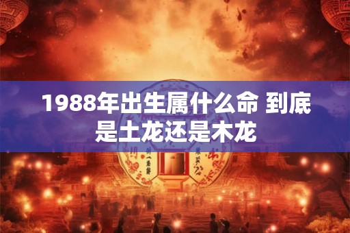1988年出生属什么命 到底是土龙还是木龙