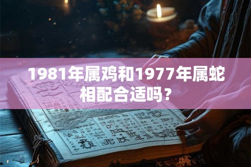 1981年属鸡和1977年属蛇相配合适吗？