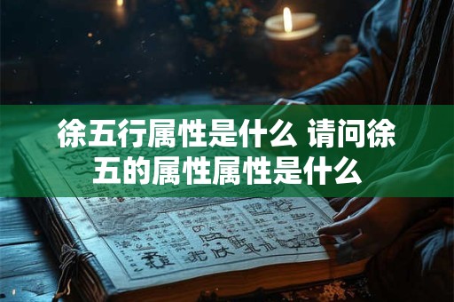 徐五行属性是什么 请问徐五的属性属性是什么
