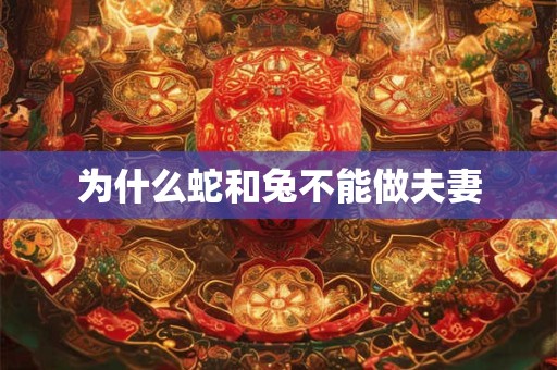 为什么蛇和兔不能做夫妻