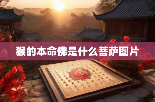 猴的本命佛是什么菩萨图片