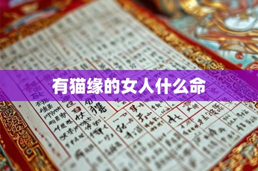有猫缘的女人什么命