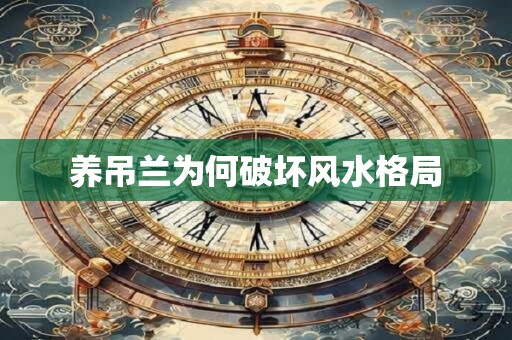 养吊兰为何破坏风水格局