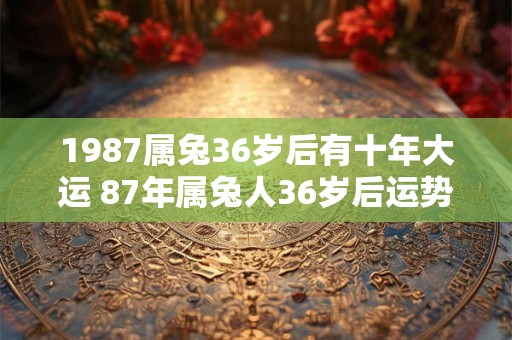 1987属兔36岁后有十年大运 87年属兔人36岁后运势走向