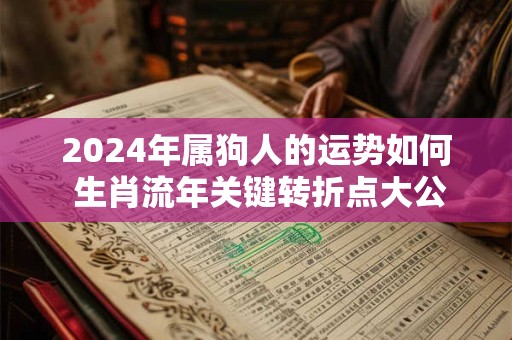 2024年属狗人的运势如何 生肖流年关键转折点大公开