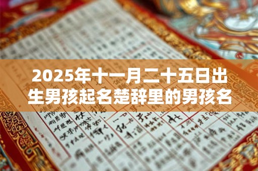 2025年十一月二十五日出生男孩起名楚辞里的男孩名字