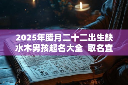 2025年腊月二十二出生缺水木男孩起名大全  取名宜用字